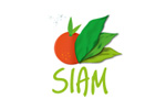 SIAM 2024. Логотип выставки