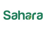 Sahara 2024. Логотип выставки