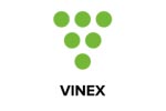 VINEX 2020. Логотип выставки