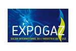 Expogaz 2013. Логотип выставки