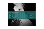 East of England Equine Fair 2012. Логотип выставки