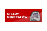 Gieldy Mineralow 2010. Логотип выставки