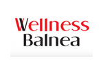 WELLNESS BALNEA 2011. Логотип выставки