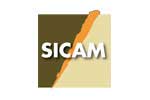 SICAM 2022. Логотип выставки