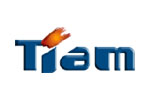 Tiam 2010. Логотип выставки