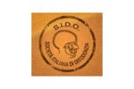 CONGRESSO INTERNAZIONALE SIDO 2010. Логотип выставки