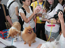 Выставка Pet Fair Asia Professional 2014