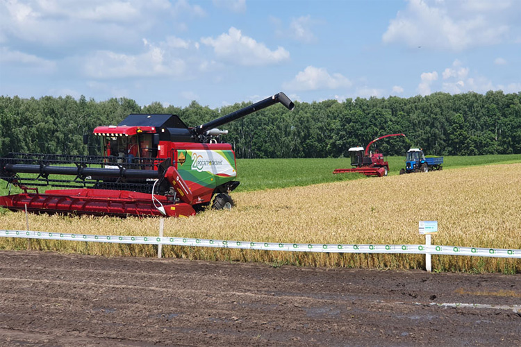 День Брянского поля 2022