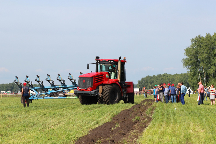 День поля 2022