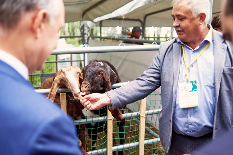 День поля 2022