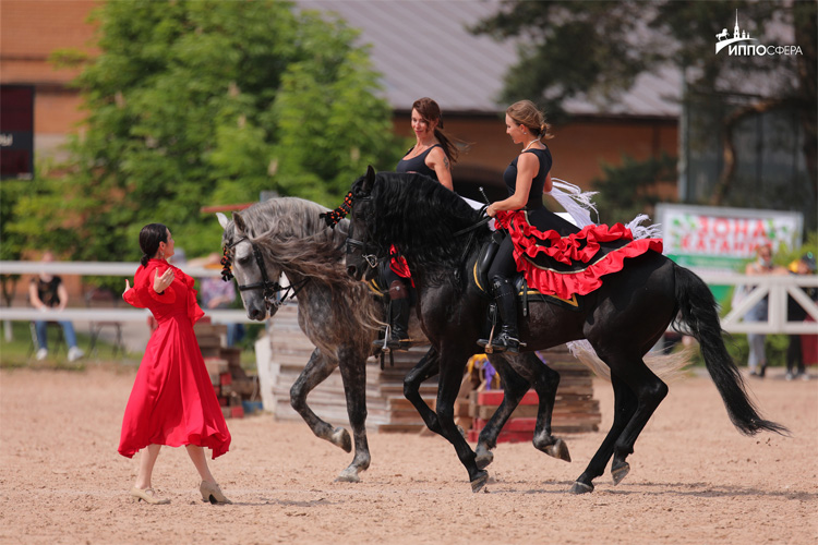 Иппосфера 2022