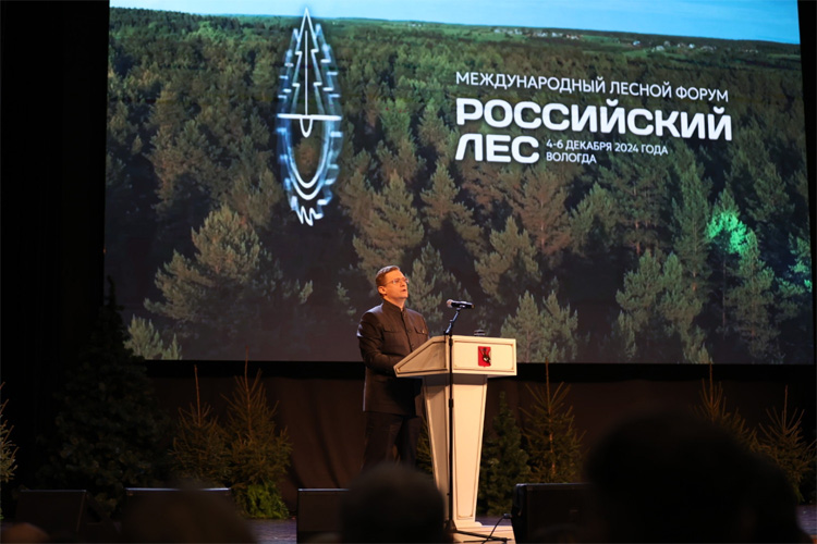 Российский лес 2025