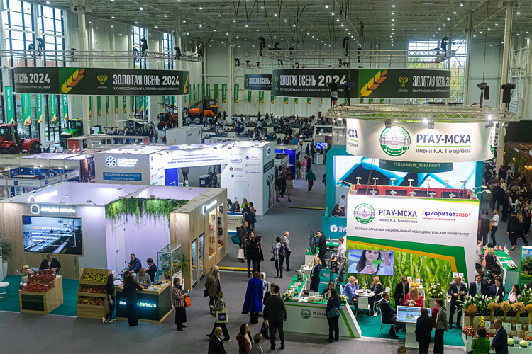 Золотая осень 2025